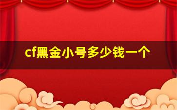 cf黑金小号多少钱一个