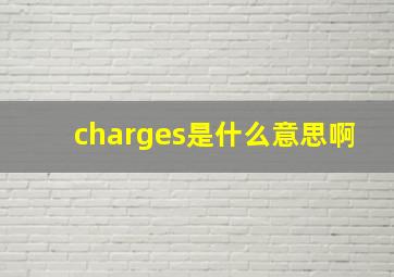 charges是什么意思啊