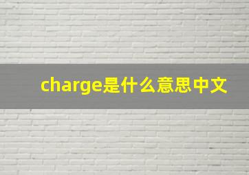 charge是什么意思中文