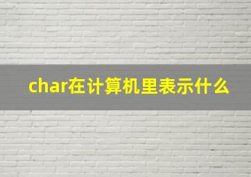 char在计算机里表示什么