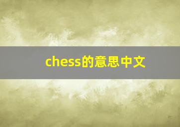 chess的意思中文