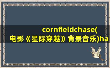 cornfieldchase(电影《星际穿越》背景音乐)hanszimmer