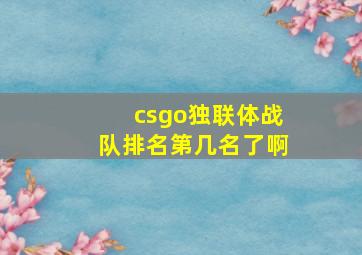 csgo独联体战队排名第几名了啊