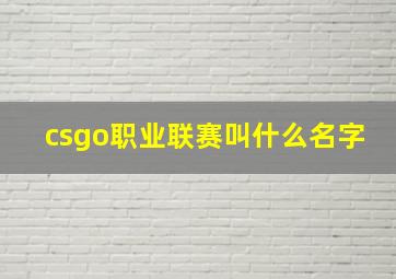 csgo职业联赛叫什么名字