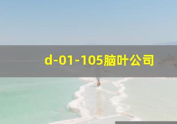 d-01-105脑叶公司