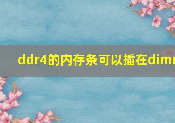 ddr4的内存条可以插在dimm