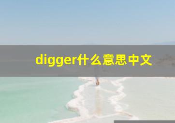 digger什么意思中文