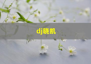 dj晓凯