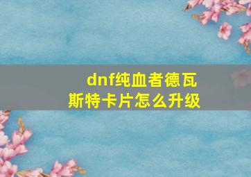 dnf纯血者德瓦斯特卡片怎么升级