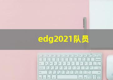 edg2021队员