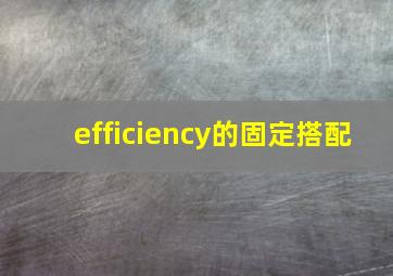 efficiency的固定搭配