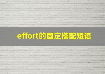 effort的固定搭配短语