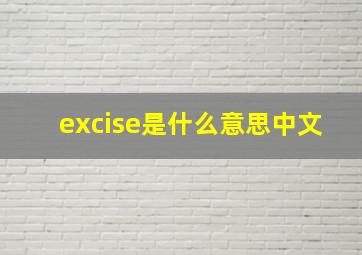 excise是什么意思中文