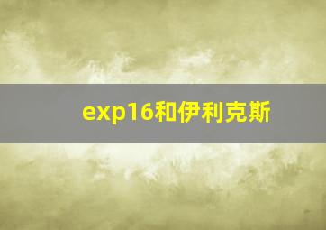 exp16和伊利克斯