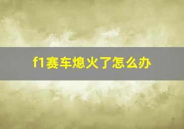 f1赛车熄火了怎么办