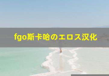 fgo斯卡哈のエロス汉化