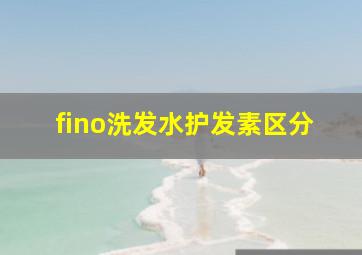 fino洗发水护发素区分