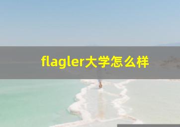 flagler大学怎么样