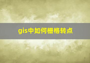 gis中如何栅格转点