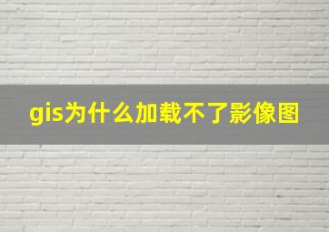 gis为什么加载不了影像图