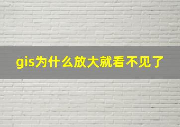 gis为什么放大就看不见了