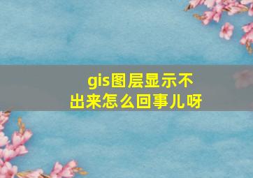 gis图层显示不出来怎么回事儿呀