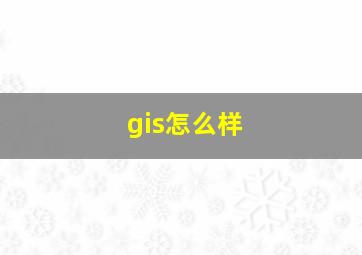 gis怎么样