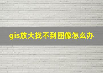 gis放大找不到图像怎么办