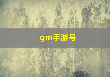 gm手游号