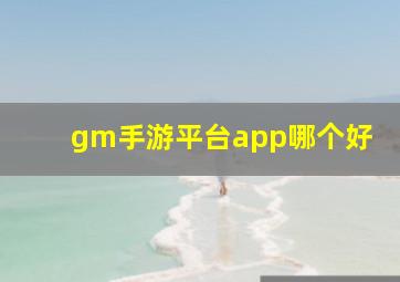 gm手游平台app哪个好