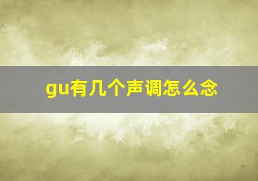 gu有几个声调怎么念