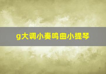 g大调小奏鸣曲小提琴