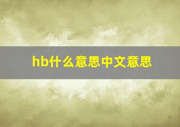 hb什么意思中文意思