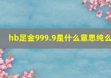 hb足金999.9是什么意思纯么