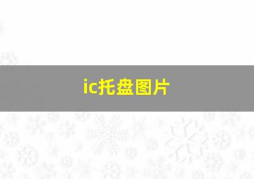 ic托盘图片