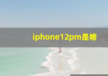 iphone12pm是啥