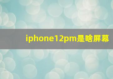 iphone12pm是啥屏幕