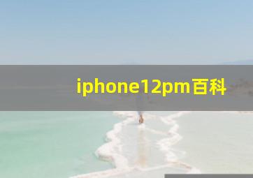 iphone12pm百科