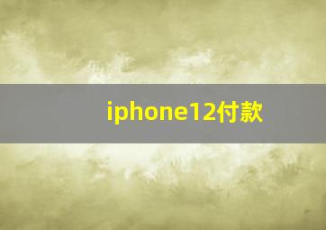 iphone12付款