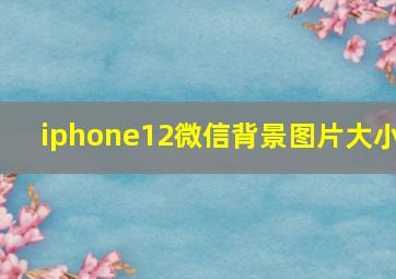 iphone12微信背景图片大小