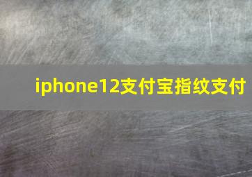 iphone12支付宝指纹支付