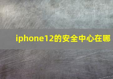 iphone12的安全中心在哪