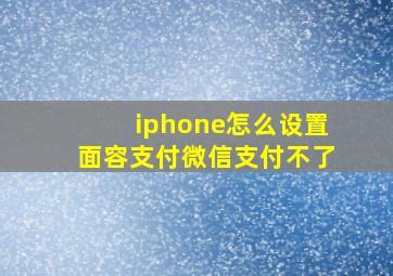 iphone怎么设置面容支付微信支付不了