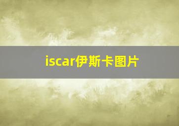 iscar伊斯卡图片