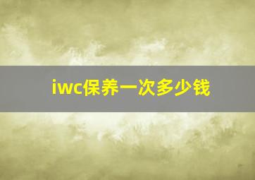 iwc保养一次多少钱