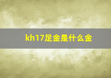 kh17足金是什么金