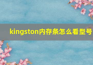 kingston内存条怎么看型号