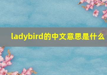 ladybird的中文意思是什么