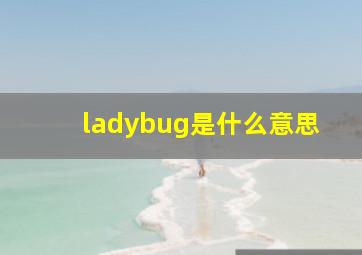 ladybug是什么意思