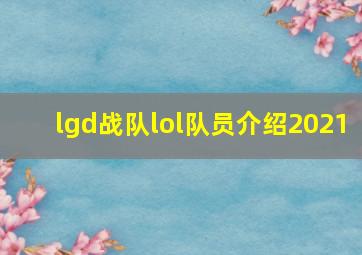 lgd战队lol队员介绍2021